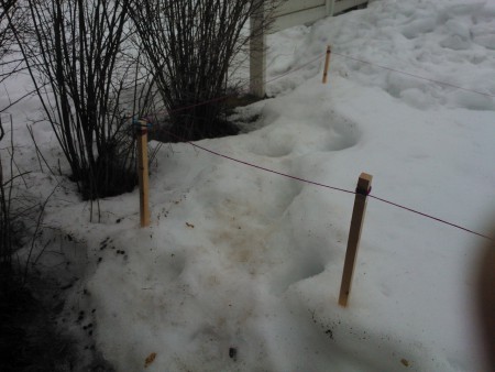 Talvilaitumen portti.