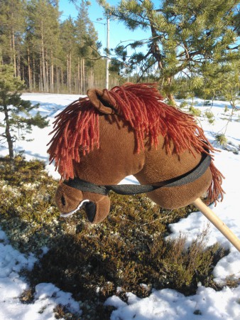 Talvikävelyllä Ruunikon kanssa.