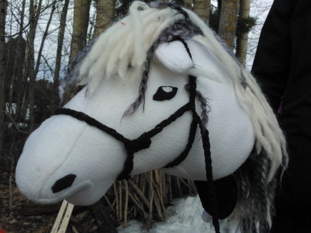 Valikolla ratsastusta.