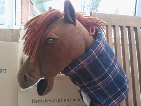 Ruunikon toppaloimi.