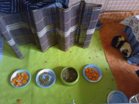 Ruokakuppeja rivissä.