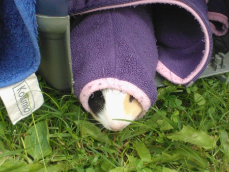 Hei, kuka otti kuvan?