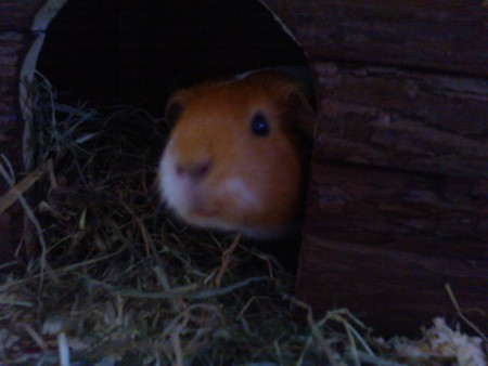 Onko jo turvallista tulla ulos?