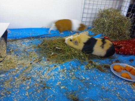 Ups! Liikuinko minä, vaiko kamera?