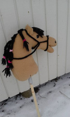 Toffeella ratsastamassa. Piti lainata Sefrun suitsia koska Toffeella ei vielä ollut.